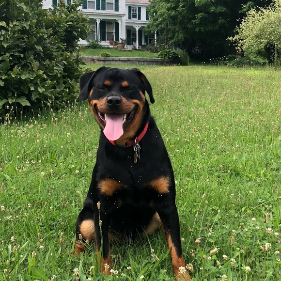 Meet your Posher, Sheila - Picture 5 of 14